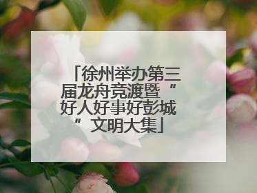 徐州举办第三届龙舟竞渡暨“好人好事好彭城”文明大集